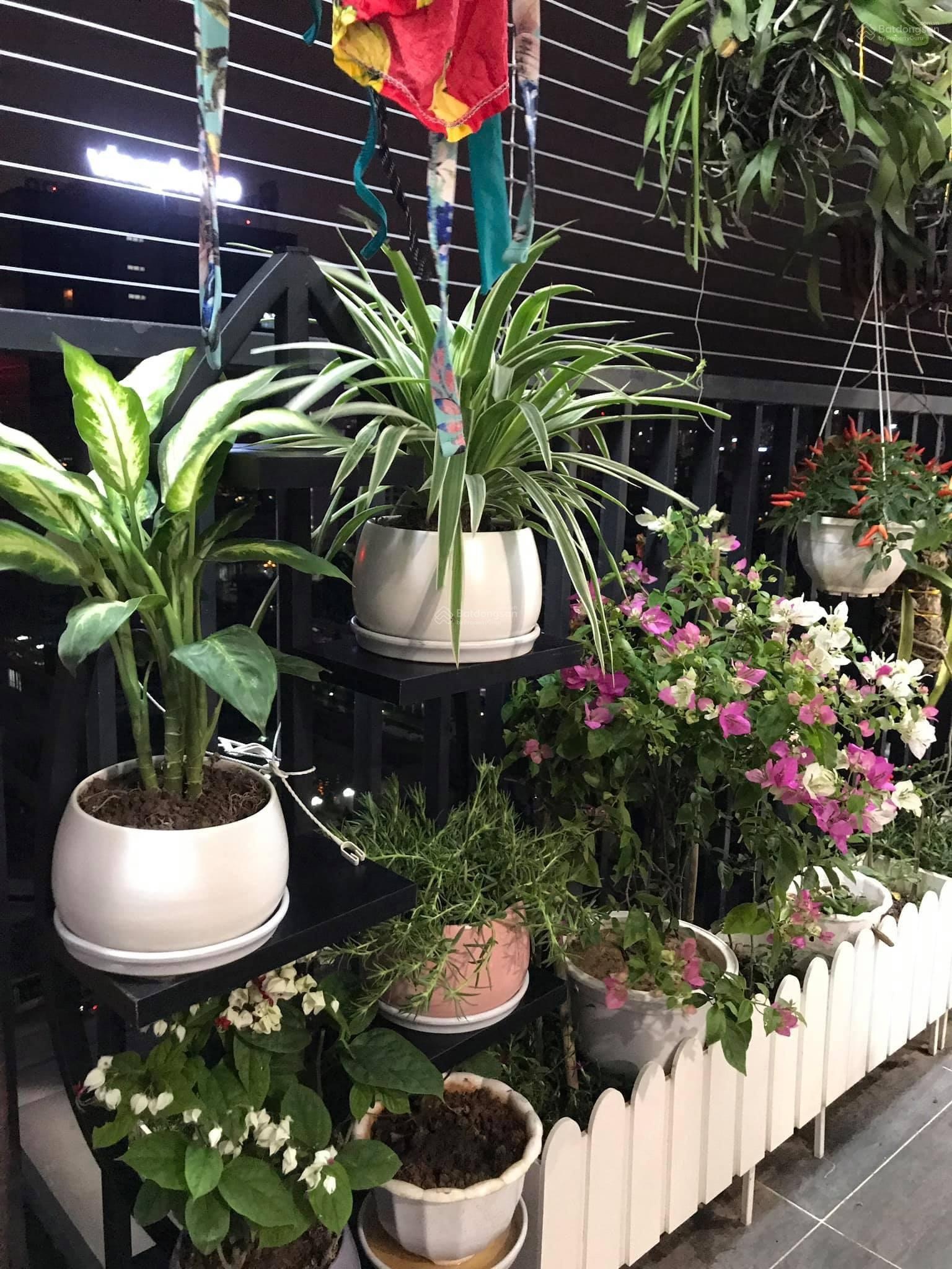 Quỹ căn hộ 2PN 2VS cho thuê tại 6th Element, Xuân La, Tây Hồ, Hà Nội đẹp tiện ích, vào ở được luôn