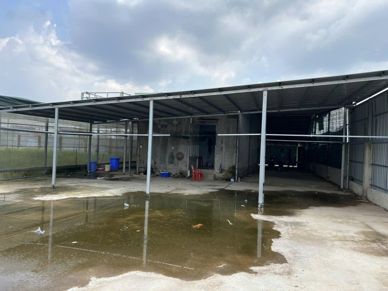 Giá chốt trước Tết. Bán nhà vườn tại đường 89, xã Tân Phú Trung, Củ Chi, TP. HCM, 7 tỷ, 1000m2