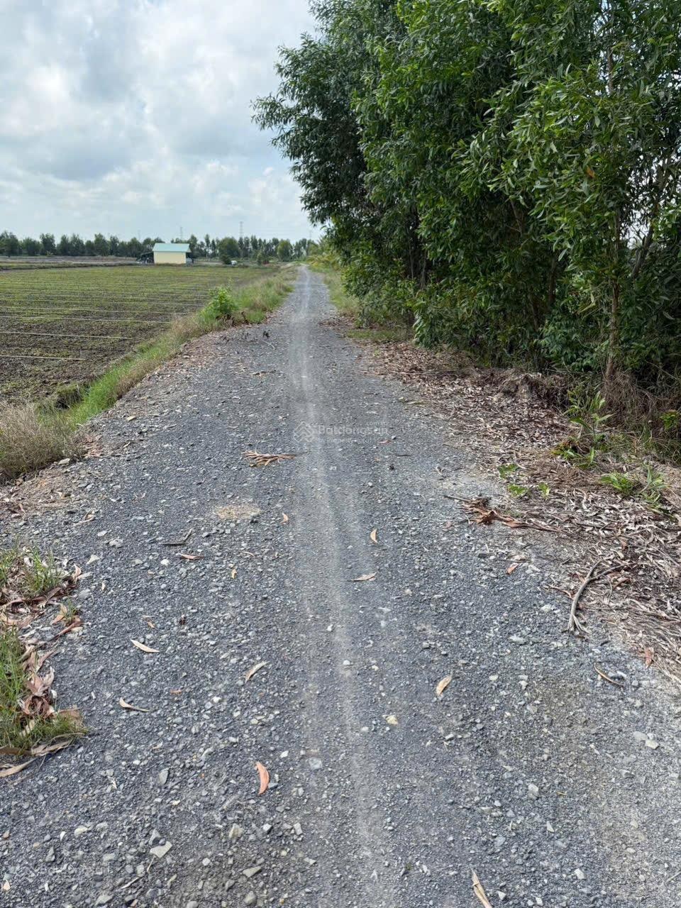 Bán nhanh lô đất 209m2 full thổ cư 100% giá siêu rẻ 560tr như hình liên hệ 0937714638