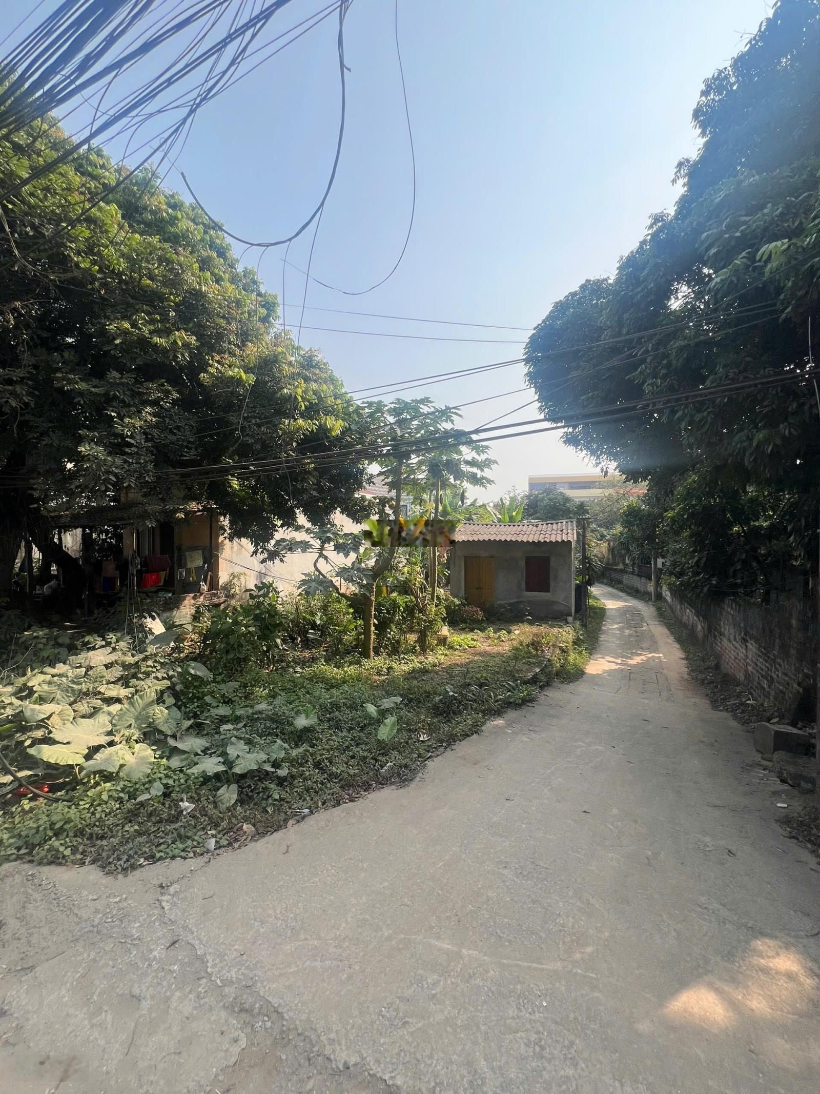 Chủ cần tiền bán gấp 120m² mặt đường 87 giá rẻ hơn thị trường - cho thuê kinh doanh ngày đêm