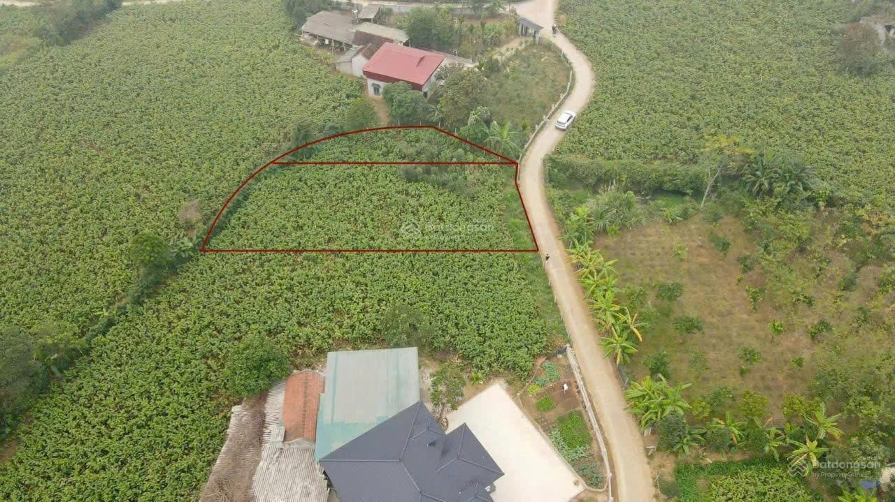 Đất nghỉ dưỡng Ba Vì view núi đẹp - đường thông thoáng, cách chợ - trường - NVH thôn chỉ 3p đi bộ