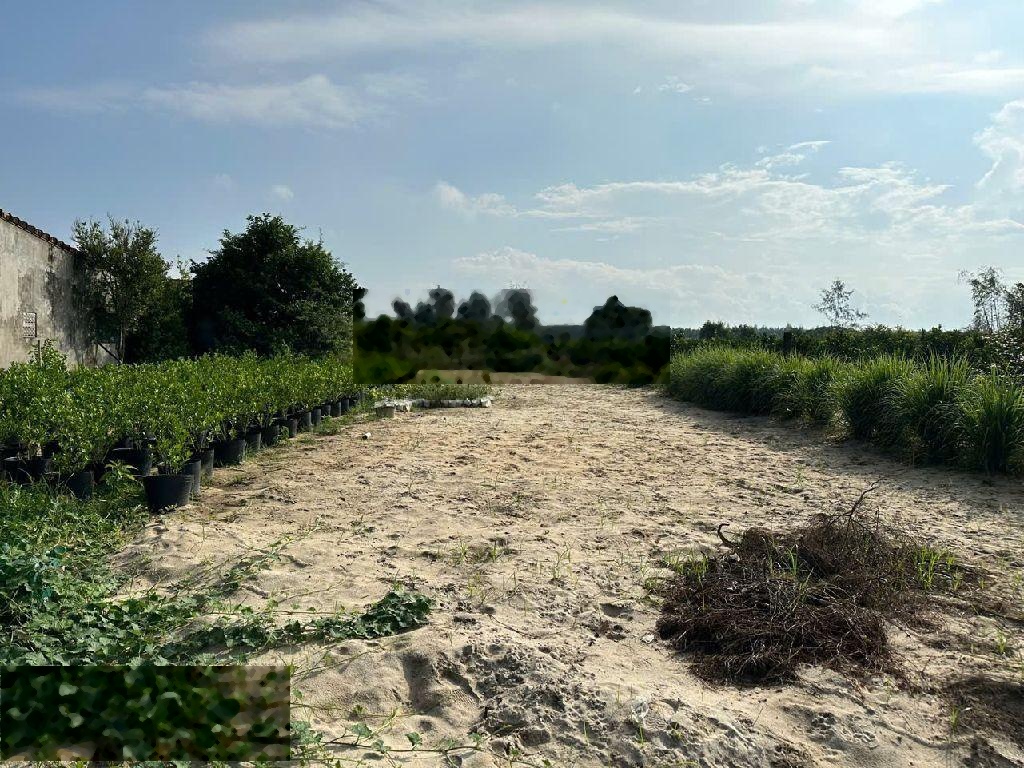 Đất thổ cư, đường Đồng Nà 1, xã Cẩm Hà, thành phố Hội An