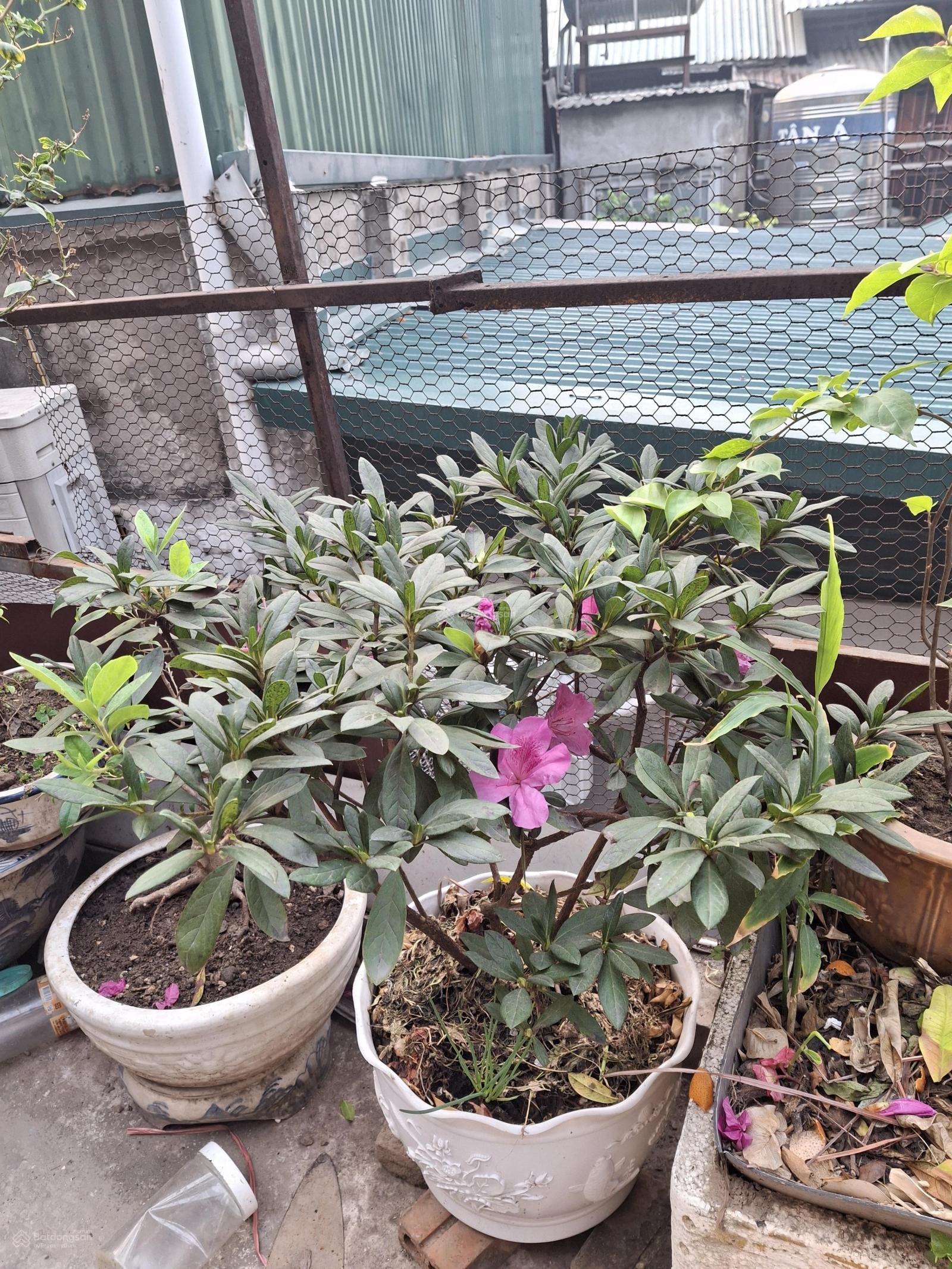 (Siêu hiếm) cho thuê CH 50m2 tầng 2 B5 Đồng Xa 8tr