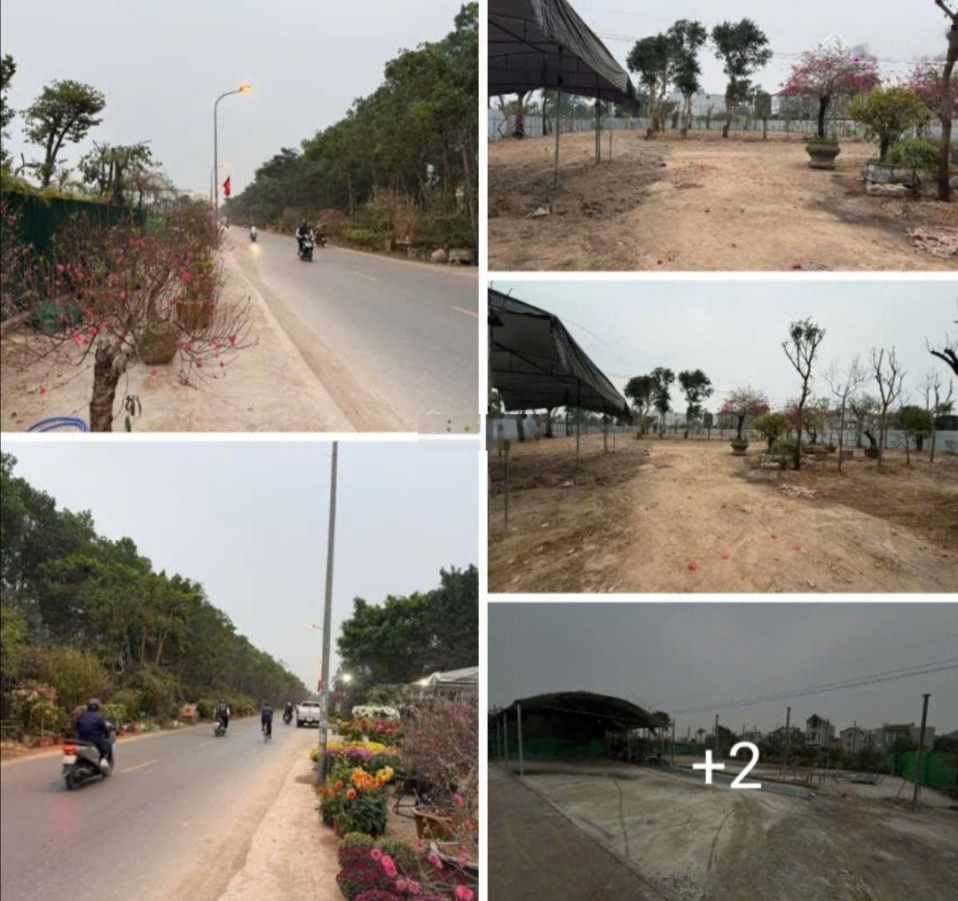 Cho thuê mặt bằng làm bãi kho xưởng 5.000 m mặt bằng đường Võ Nguyên giáp cách Nhật Tân 5km.