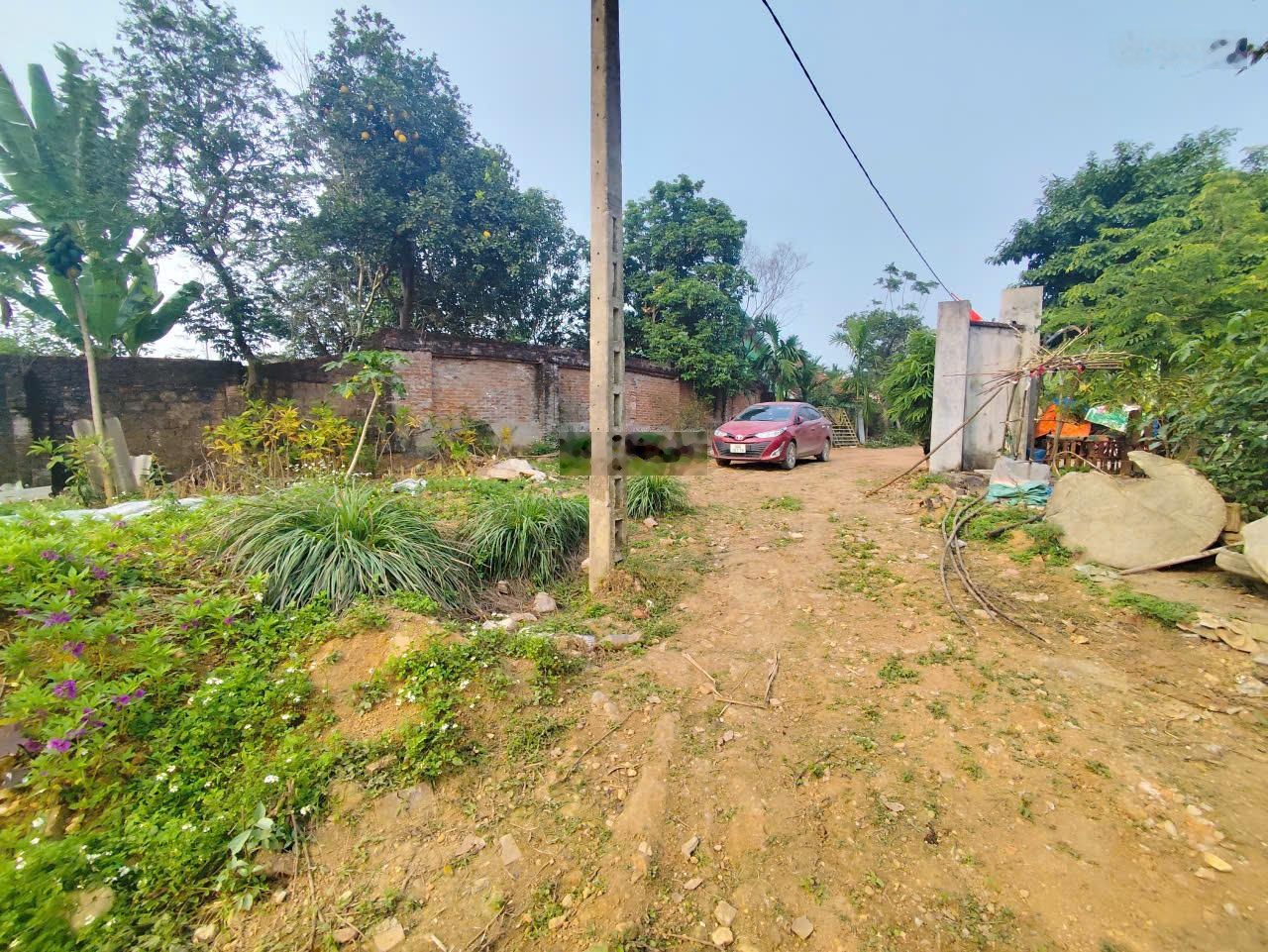 Đất nghỉ dưỡng Minh Quang view cánh đồng, sẵn ao-không gian thoáng, đường đi thuận tiện ô tô đỗ đất