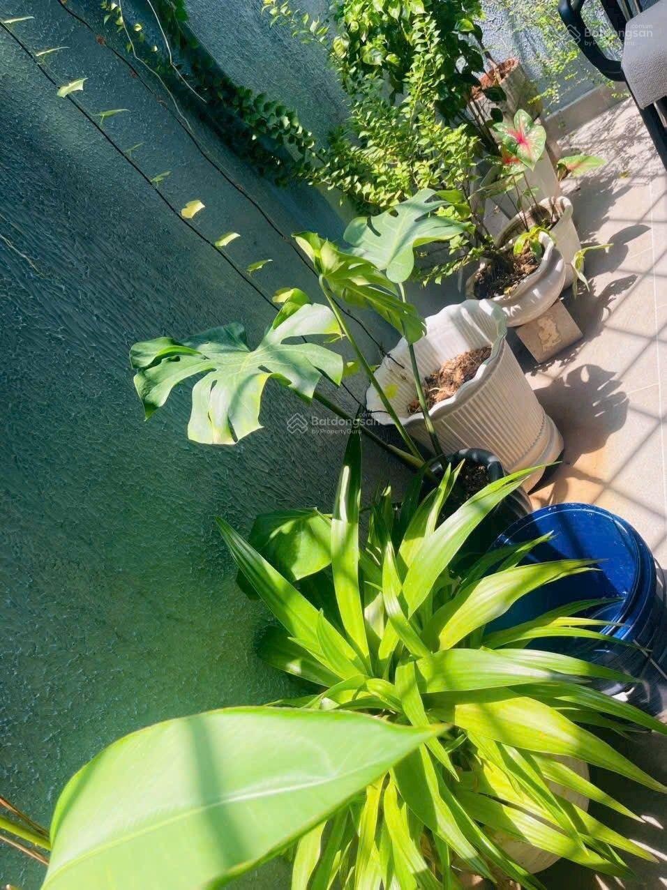 Chủ nhà chuyển công tác ra hà nội giảm sâu bán gấp trước tết