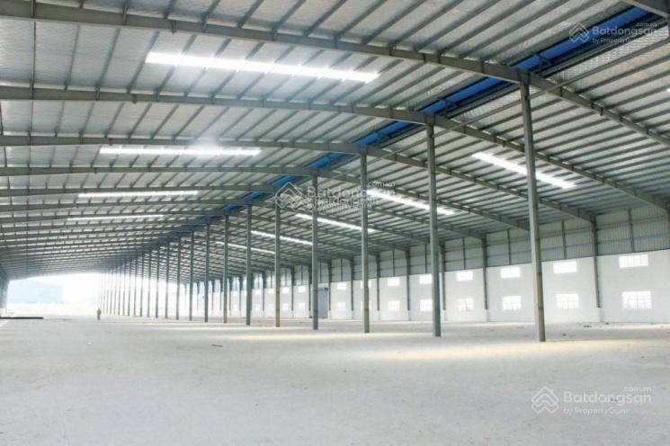 Chính chủ cho thuê nhà xưởng 12.000m2. Cắt nhỏ theo nhu cầu Hiệp Hoà Bắc Giang, Vành Đai 4