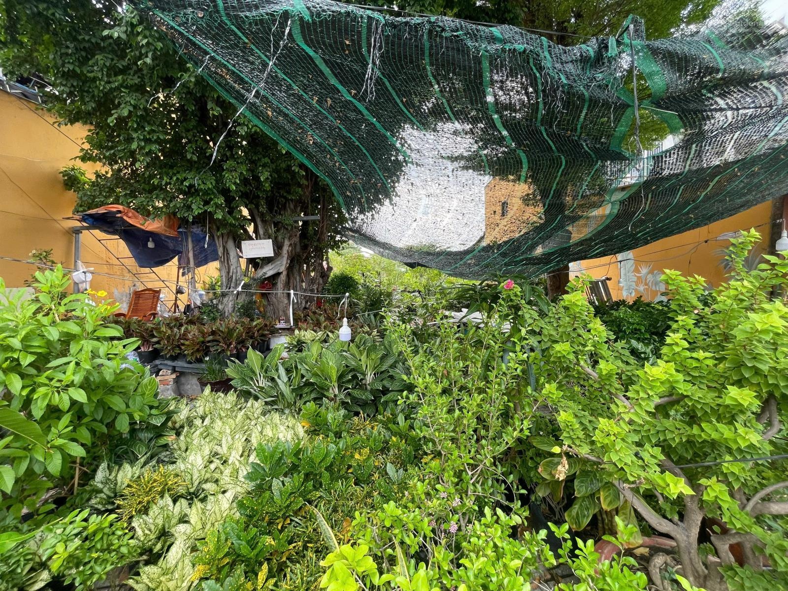 Đấu giá QSDĐ tại đường Nguyễn Văn Quá, Đông Hưng Thuận, TP. HCM