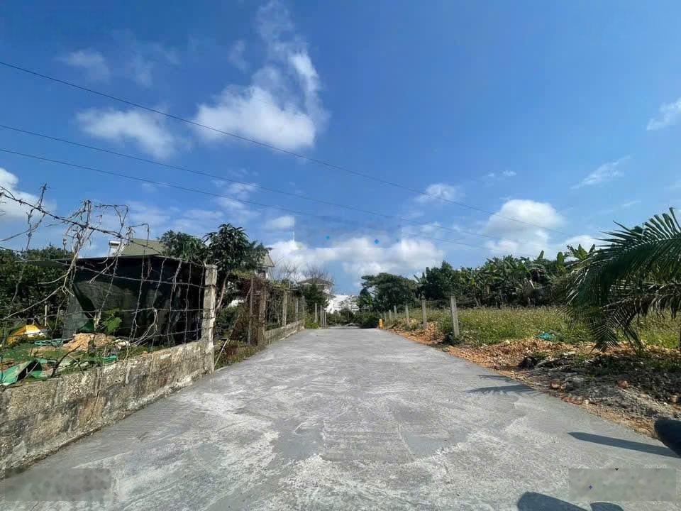 Bán hơn 300m2 đất biệt thự vuông vức nở hậu, gần trường và chợ thủy dương, sát bên sở giáo dục mới