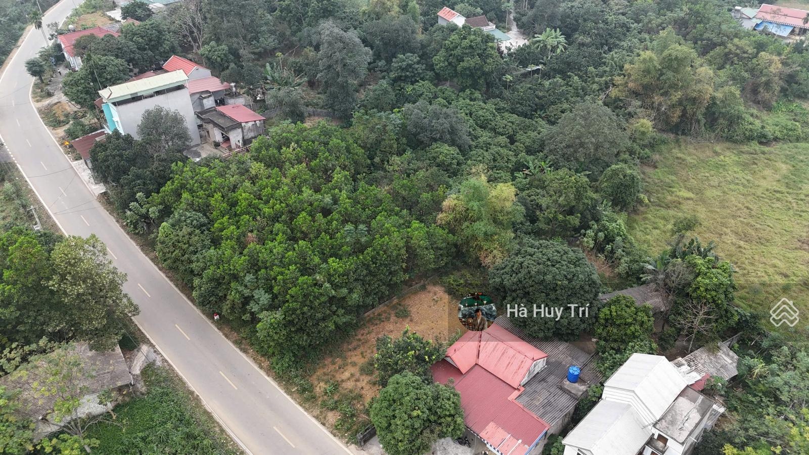 1100m2 - 800m2 thổ cư - mt30m - bám trục chính liên xã đường tiên hội - view cánh đồng