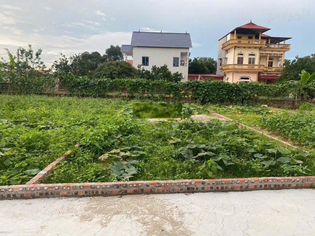 Bán đất đan tảo - tân minh -100m ra trường học- ô tô đỗ cửa- đường thông tứ phía