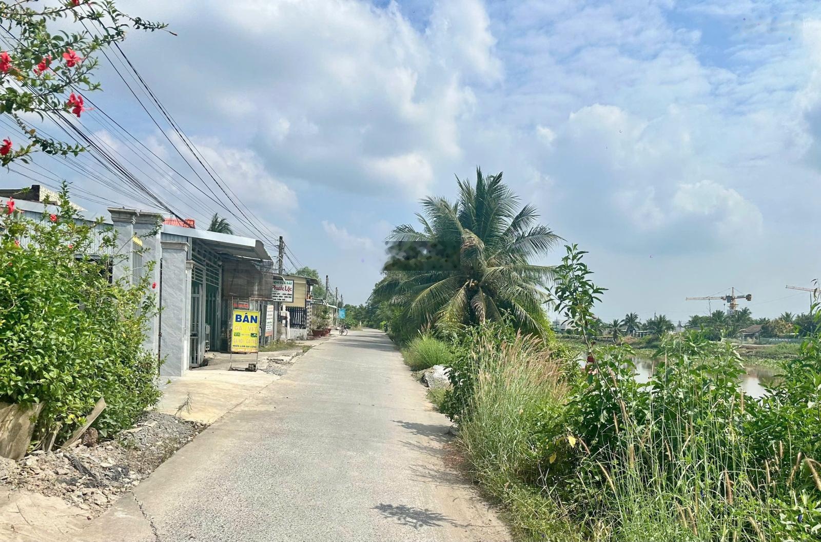 1000m2 tại đường Tỉnh lộ 824, Lương Bình, Bến Lức, Long An, 1,29 tỷ hết sổ