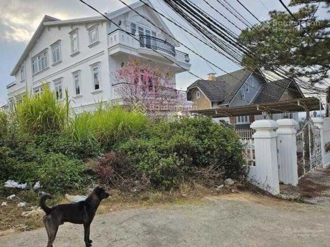 Lô đất xây dựng khu biệt thự Trịnh Hoài Đức - P11 - Đà Lạt - ngay trung tâm, cách Hồ Xuân Hương 3km