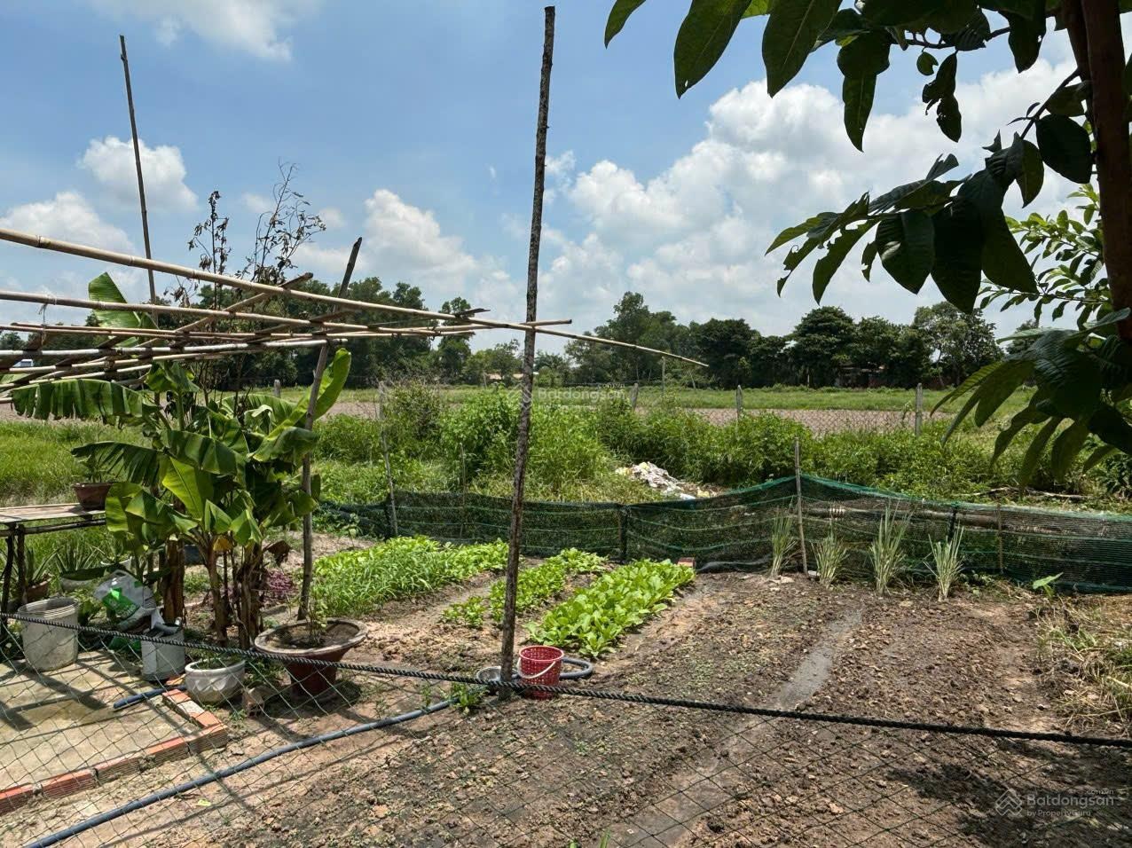 Bán đất hợp đầu tư lưu trú tại ĐT 825, Lộc Giang, Đức Hòa, 39,5 tỷ, 18224 m2