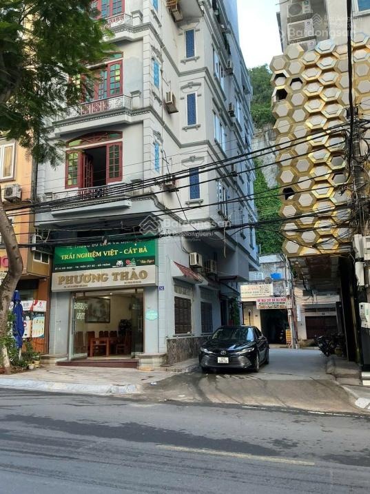 Cho thuê đất trống mặt tiền đường 1/4, Cát Bà, 420 triệu, 1.052 m2, hot