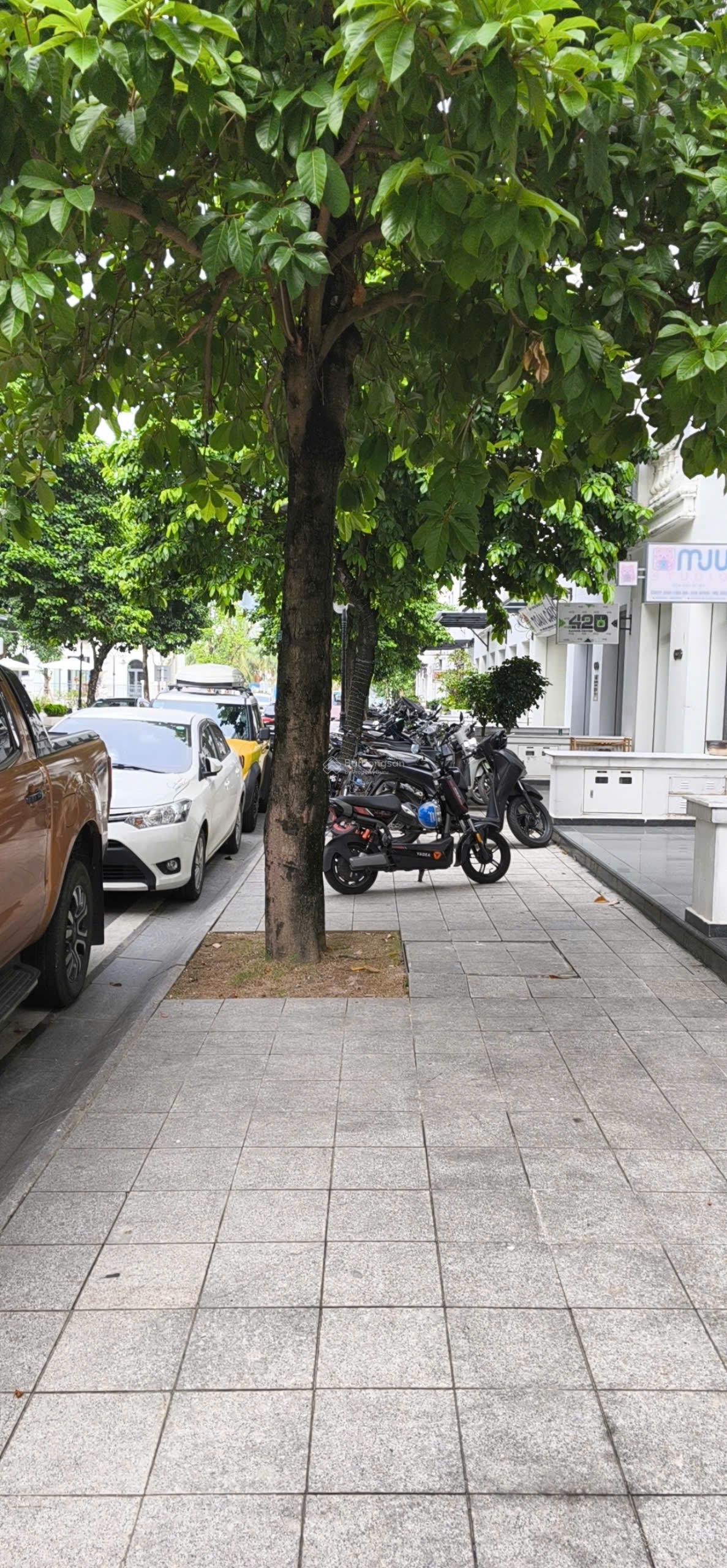 Bán đất Trâu Quỳ Vuông vắn 50m² Mặt đường 22m Giá 195 triệu/m²