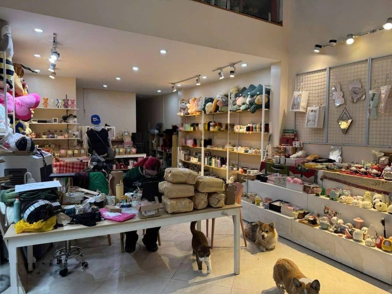 Cho thuê nhà mặt phố Nguyễn Hữu Huân,27m2, mặt tiền:4m,lối đi riêng, vị trí rất đẹp,kinh doanh ổn