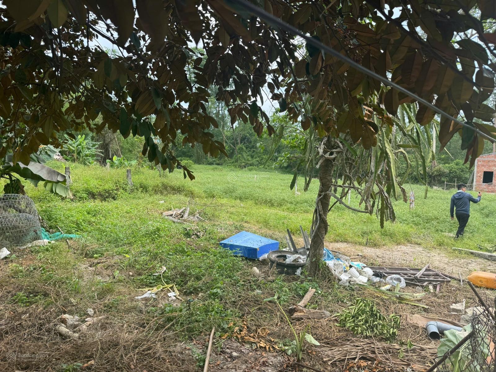 Cần bán đất kiệt ô tô Nguyễn Văn Chư, gần chợ và trường học, dt 200m2