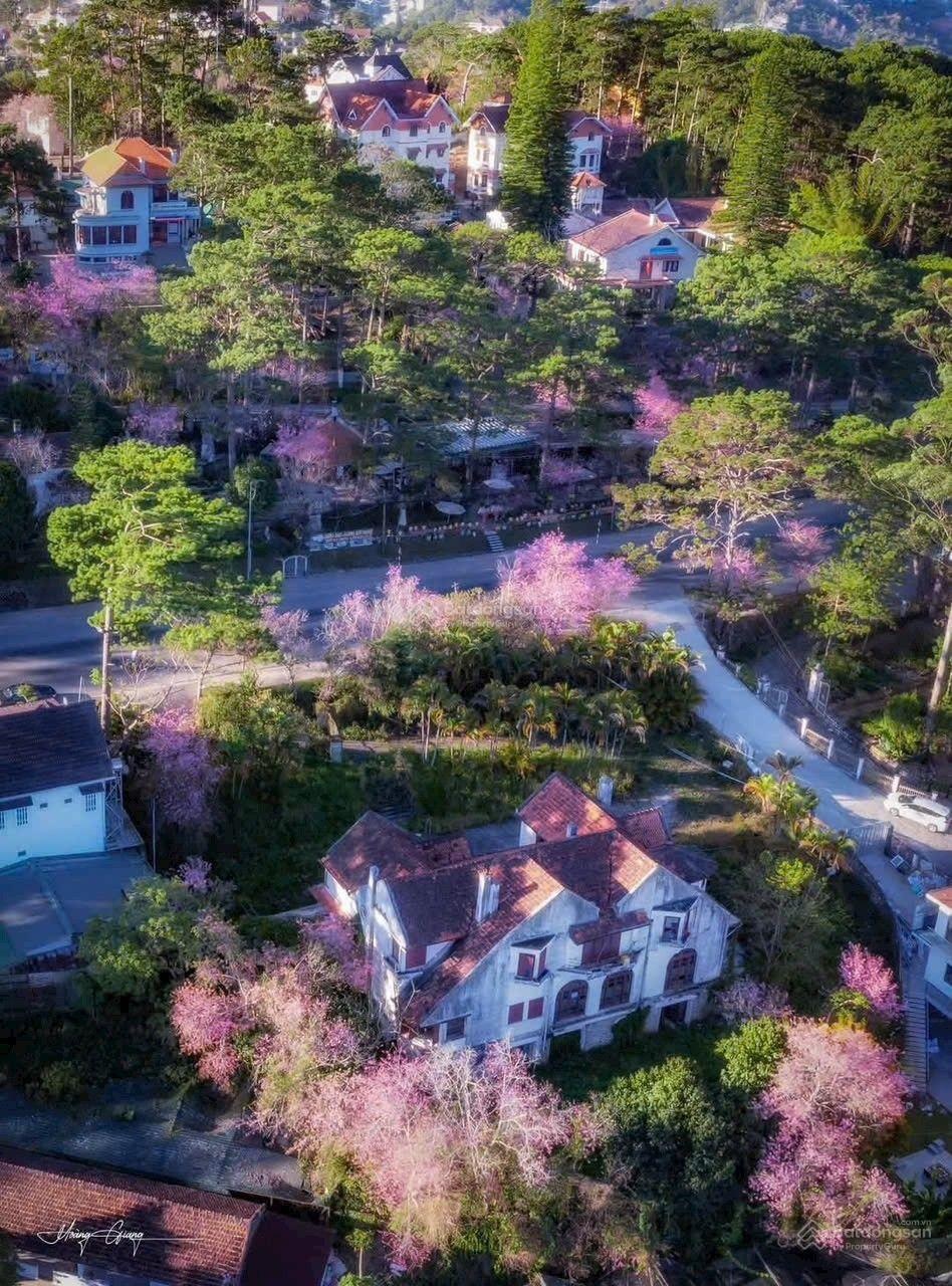 Lô đất xây dựng- 371m- Yersin- P9 Đà Lạt- 24,5 tỷ gần Hồ Xuân Hương 500m, khu biệt thự sang trọng