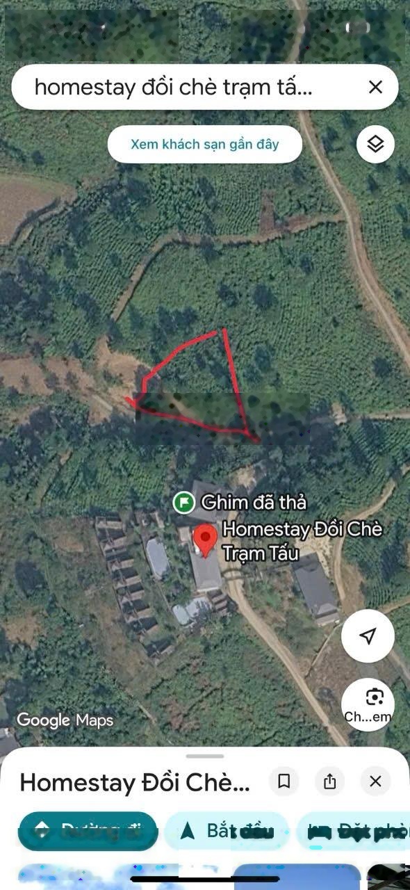 Bán trang trại đẹp, nhiều tiện ích tại Thị trấn Trạm Tấu, 1,6 triệu VND, 1100 m2