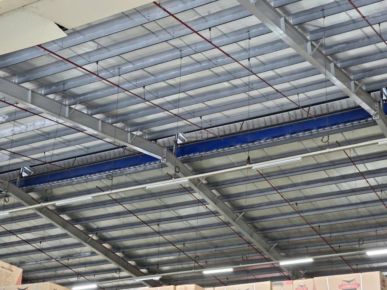 Cho thuê kho xưởng KCN Tân Kim, Cần Giuộc, Long An, KV: 30.100m², XD: 18.000m2, PCCC tự động