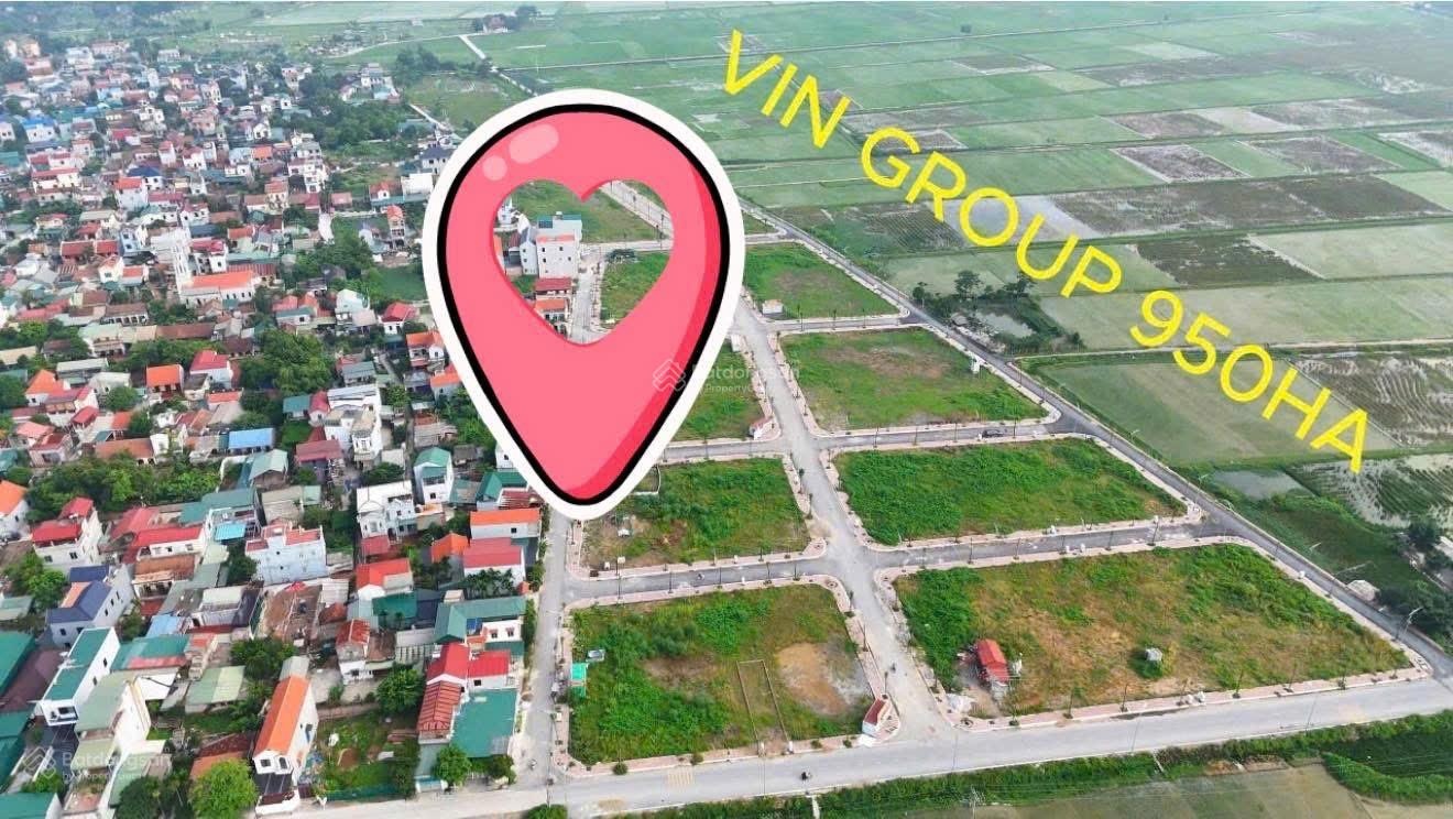 Siêu phẩm LK 90 đấu giá Văn Quán cả khu lô này là rẻ nhất. Bao giá cho các ac luôn ạ