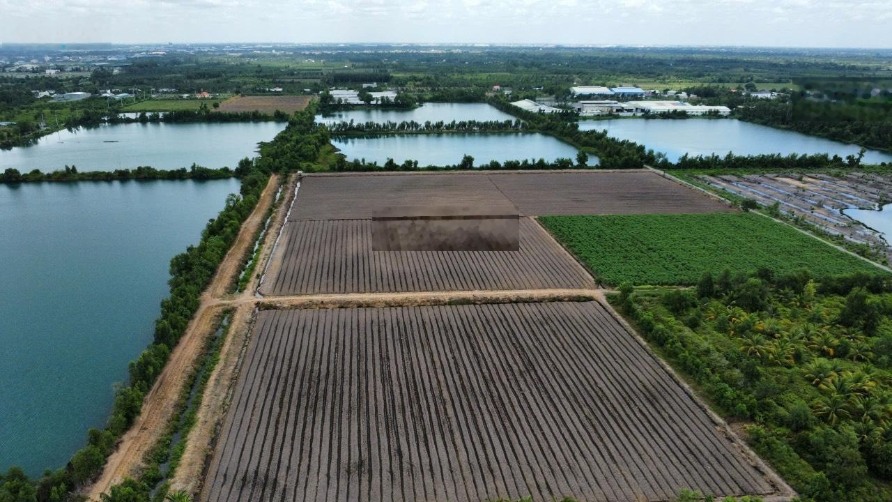 Chủ cần bán 2800m2 (30x93m) đất HNK MT sông Rạch Vông Ấp 10 xã Lương Hoà Bến Lức Long An