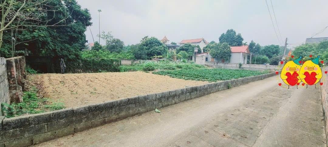 Hàng phân lô nhanh tay thì còn 726m2 có 300m2 thổ cư tại Hồ Văn Sơn, Nam Phương Tiến