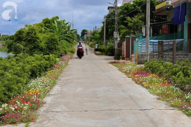 Cho thuê nhà riêng tại Thị trấn Ngô Đồng, Giao Thủy đánh đề