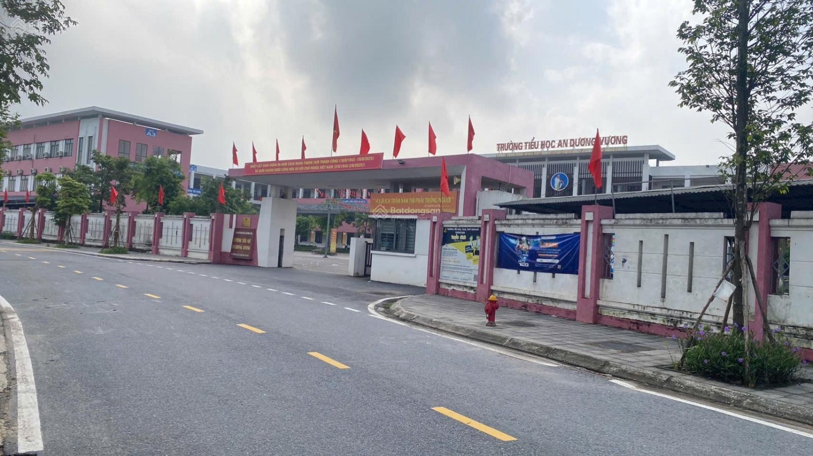 Việt Hùng, Đông Anh hàng f0 diện tích lớn phân lô, đường liên xã container tránh. Giá đầu tư