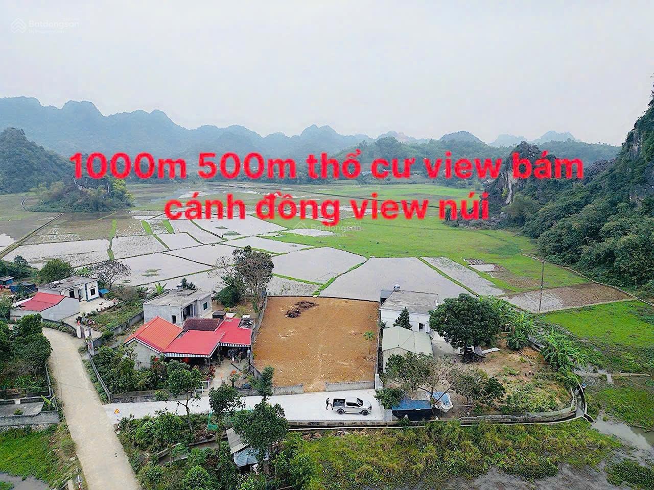 Cần bán siêu phẩm 1000m2 có 500m2 đất ở view cánh đồng view núi siêu đẹp tại Lương Sơn - Hoà Bình