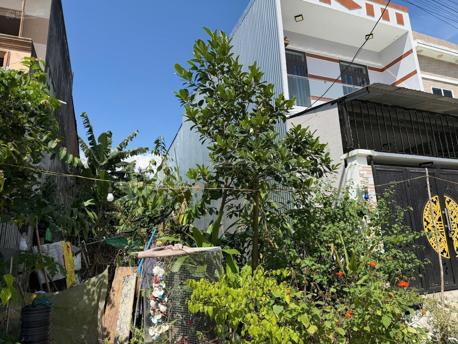 Bán đất đẹp tái định cư Hòa Ninh 1-xã Hòa Ninh-Hòa Vang-Đà Nẵng. DT. 100m2. Đường 5m5.Giá 1tỷ 990tr