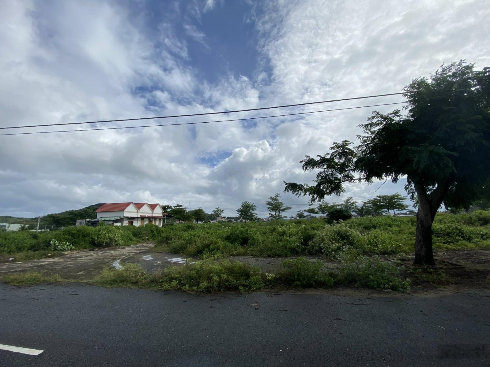 Bán 200m2 TĐC Xóm Quán mặt biển đặc khu Vân Phong - Ninh Thọ