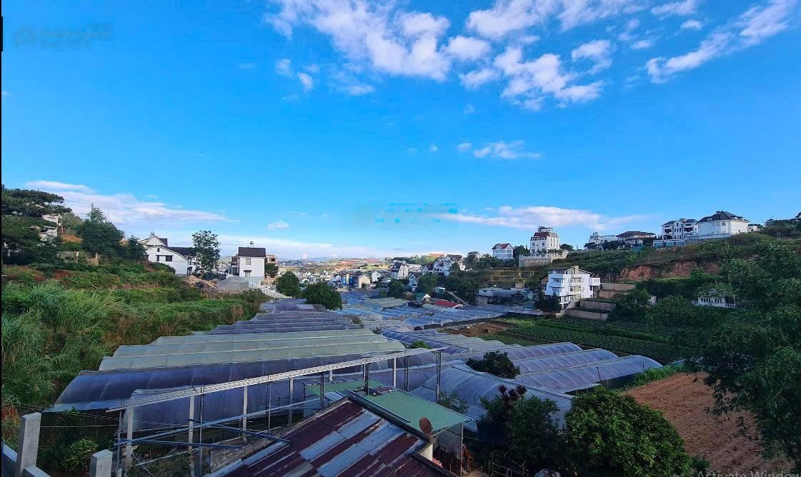 Nhỉnh 6 tỷ cho 104m2 đất view thành phố- rừng thông vĩnh viễn ngang 6m đường ô tô né nhau