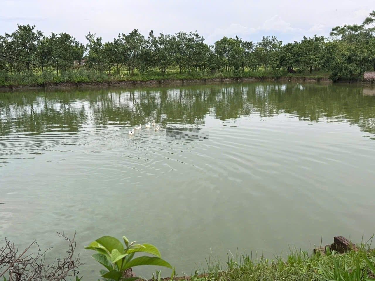 Bán khu nghỉ dưỡng tuyệt đỉnh giá rẻ tại phú nam an cũ(hoà phú mới tp Hà Nội