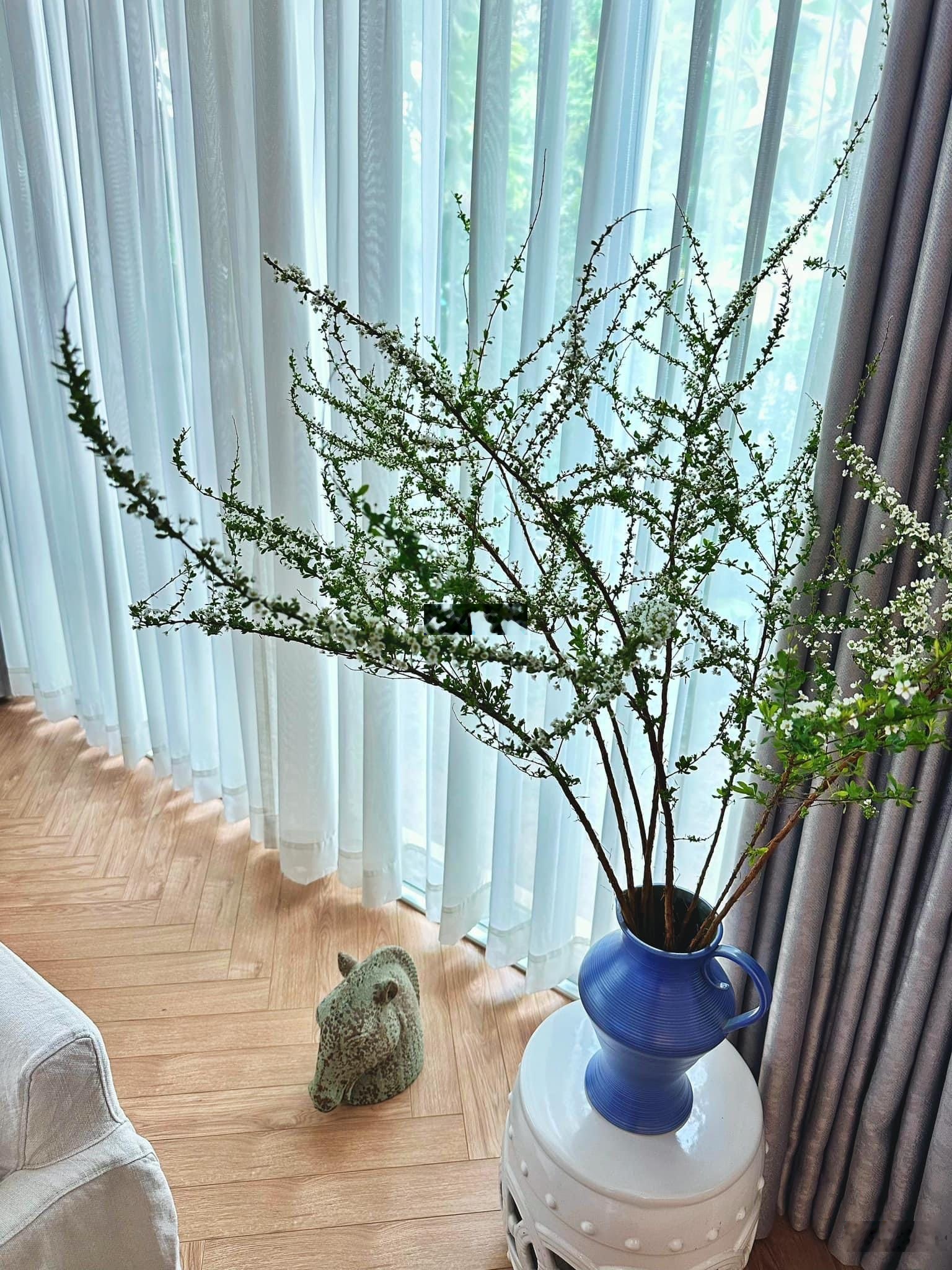 Full nội thất 3PN bàn giao nhà ngay 9 - 11tr/tháng. Sân vườn - duplex