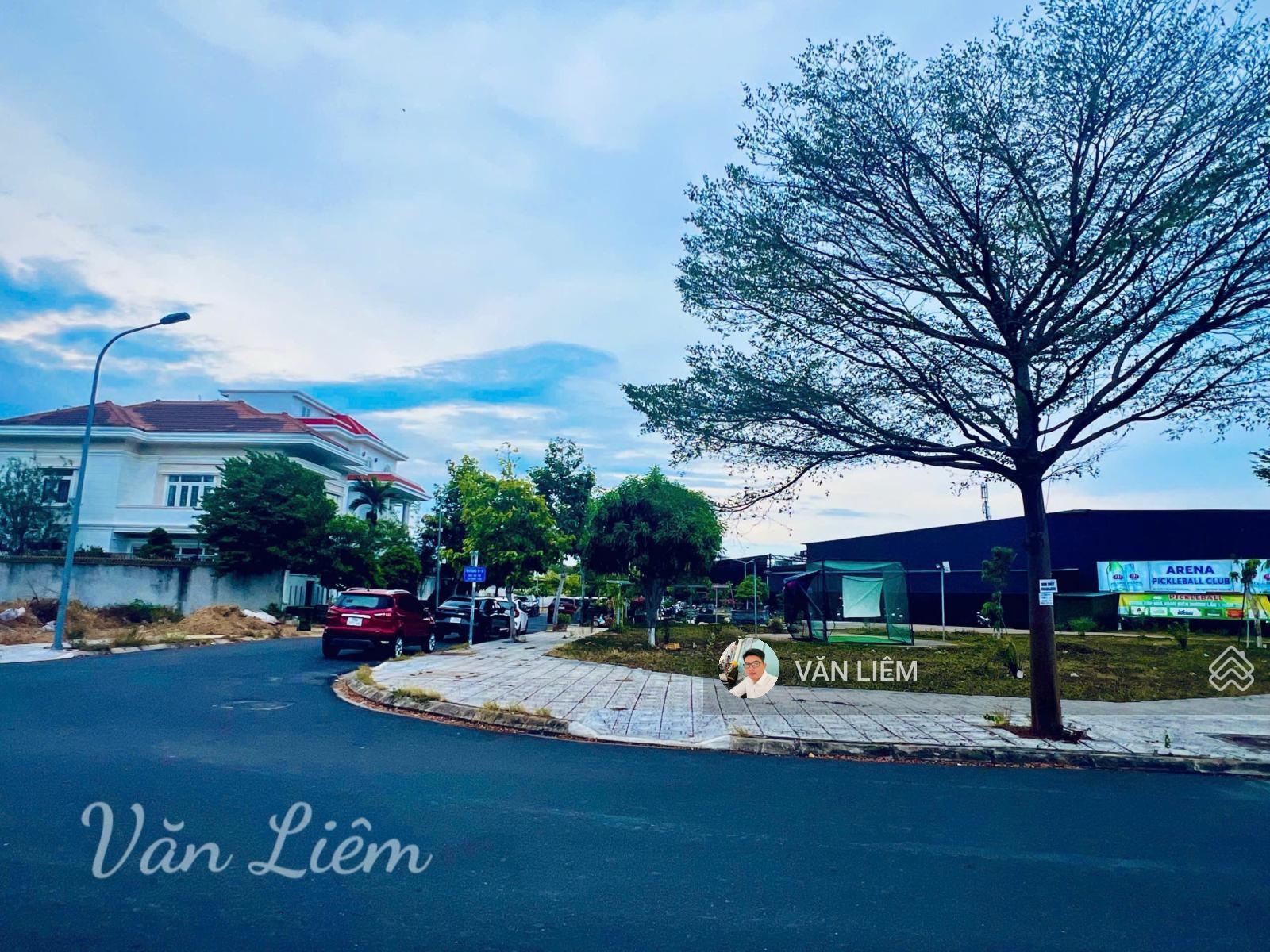 ảnh