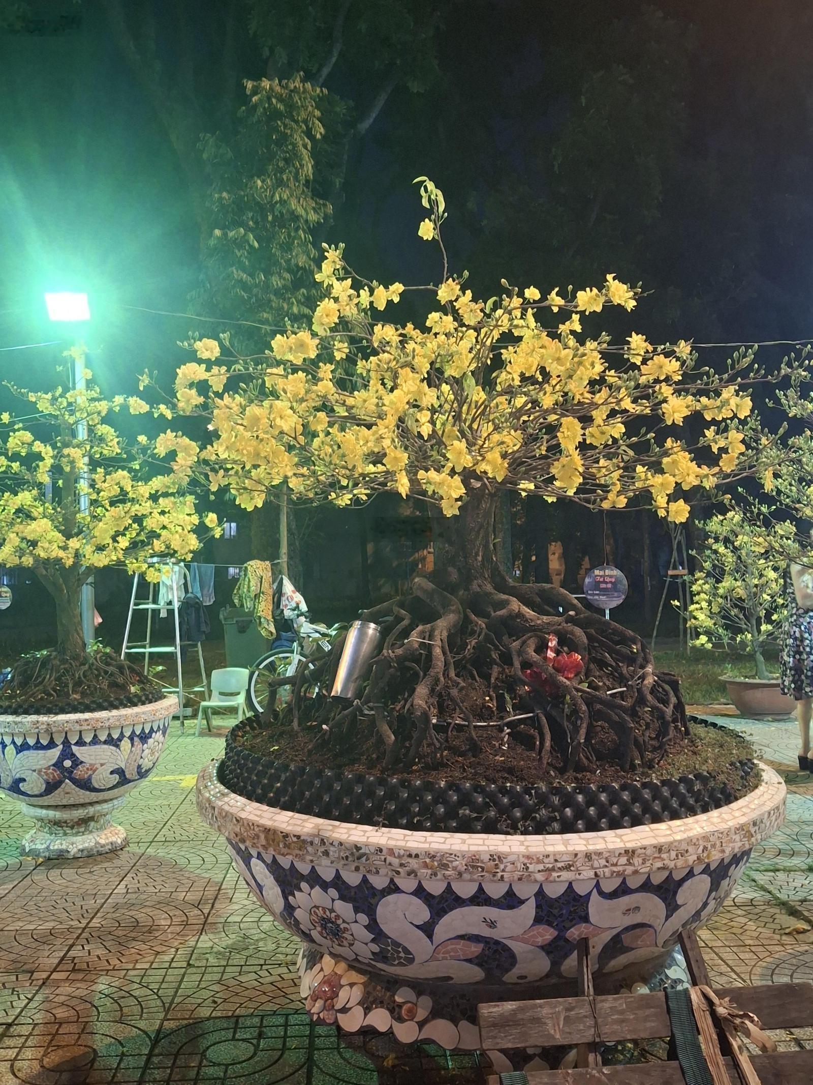 Cho thuê nhà 175/ Nguyễn Văn Công, Phường 3, Gò Vấp. DT 68m2. Giá T2 =10 triệu