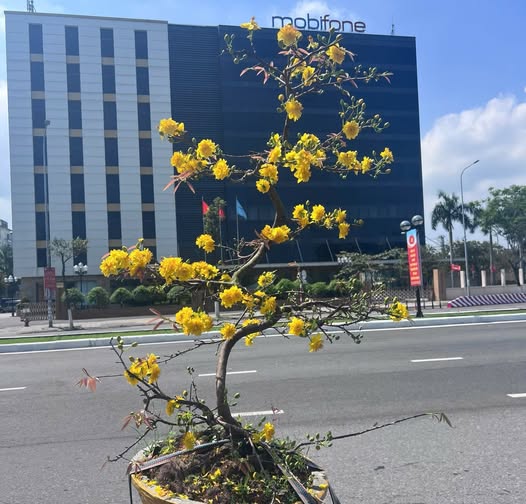 Bán nhà mặt tiền đường Nại Tú 1, thuộc khu vực Sơn Trà, khu dân cư đông đúc, thuận tiện kinh doanh