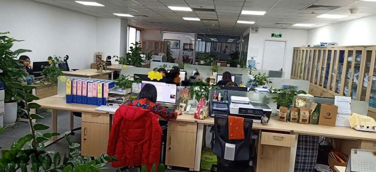 Viwaseen, 48 Tố Hữu, Trung Văn - Cho thuê 162m2 full nội thất cao cấp, giá thuê 52tr/tháng.