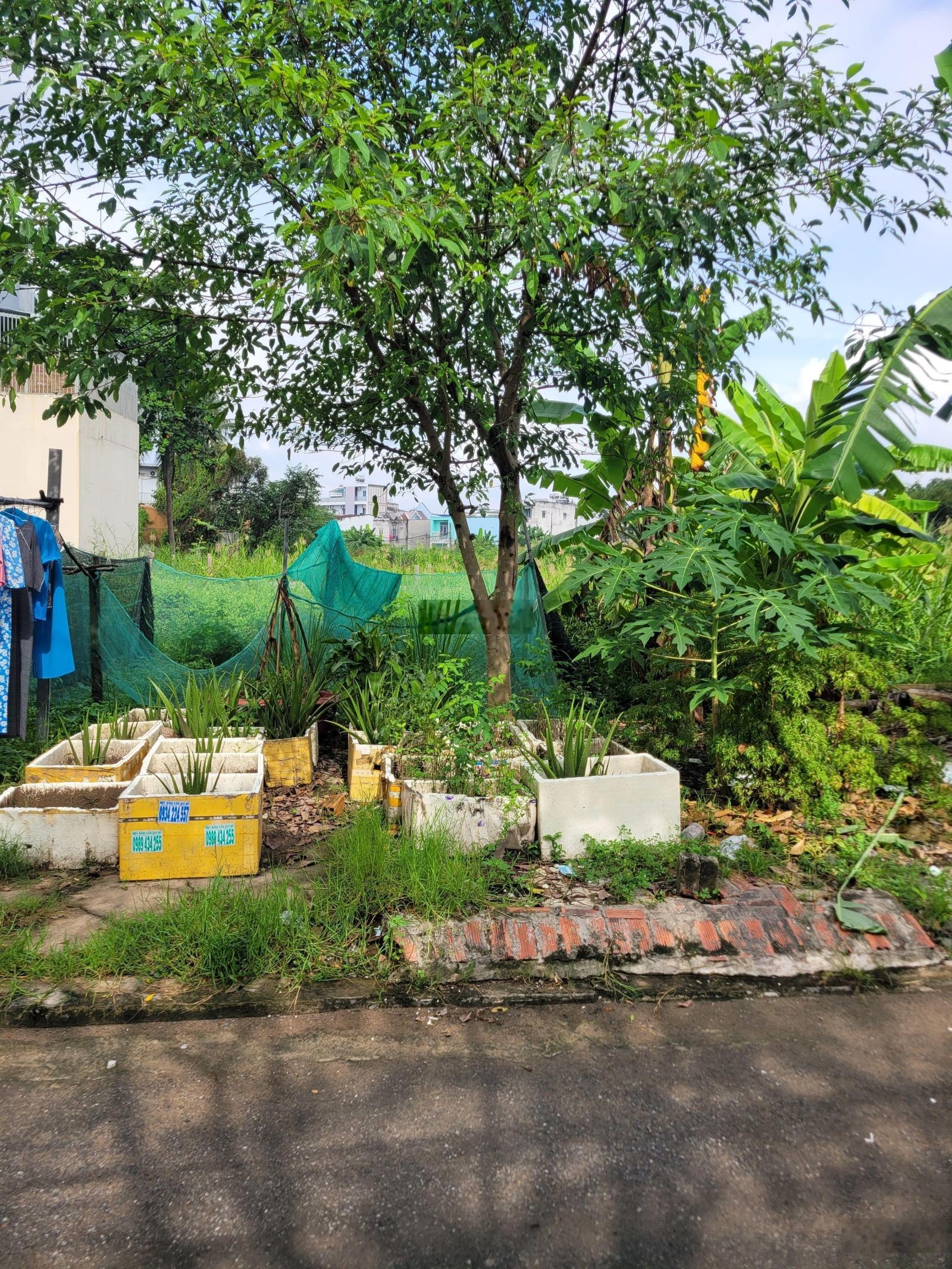 Bán đất đường số 6, p long trường. 80 m2 ngang 5,1m. giá 4,6 tỉ.