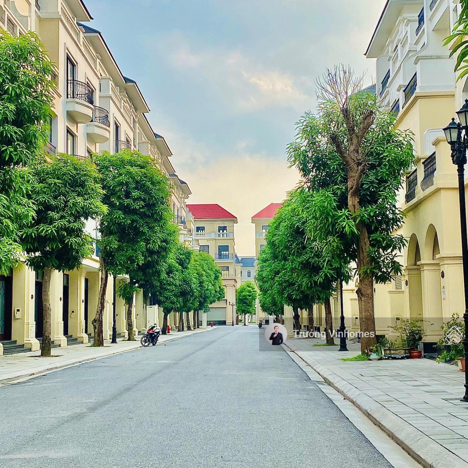 San hô đông nam mát lạnh còn lại căn duy nhất , diện tích dành cho 1 đại gia đình