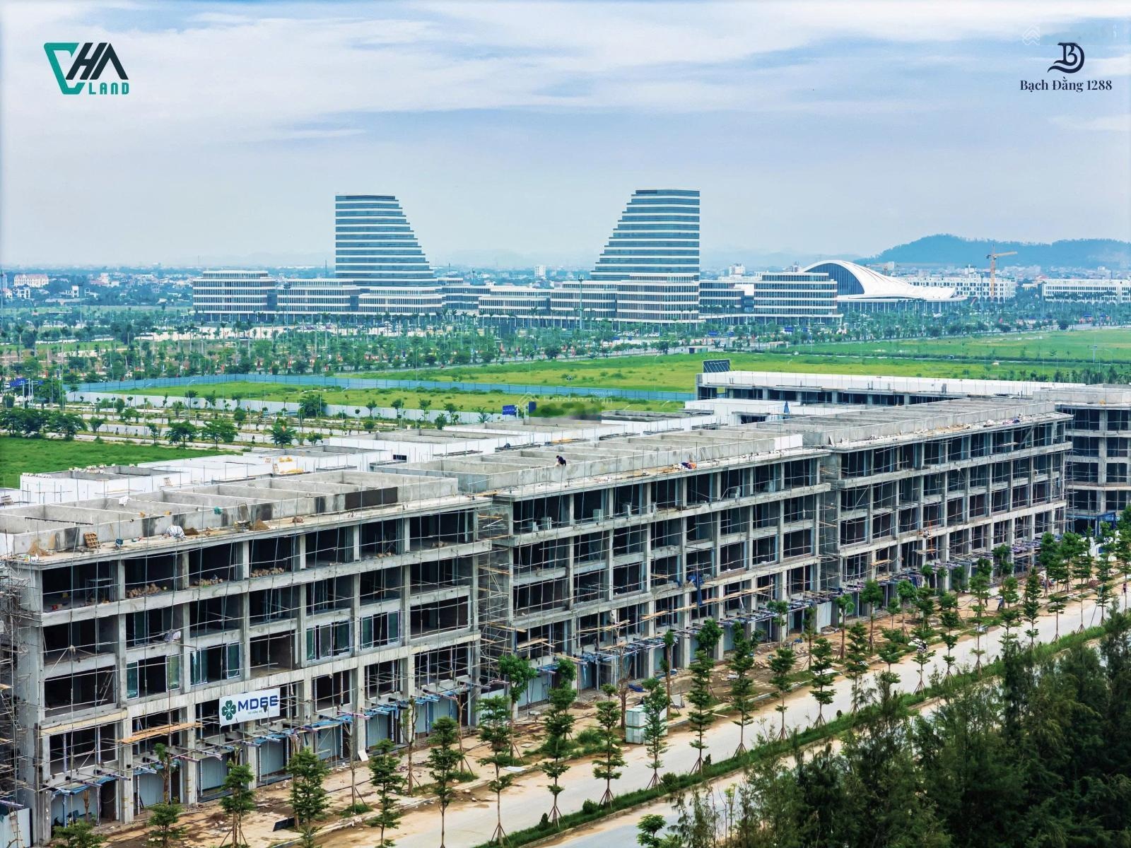 Tổng hợp quỹ căn mở bán KĐT Bạch Đằng 1288 - Cập nhật bảng giá mới nhất tháng 2/2026