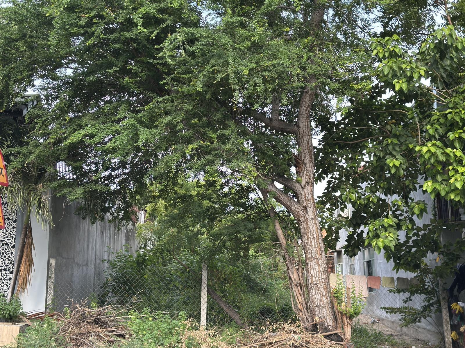 Bán nhanh lô đất 140m2 giá hời cho nhà đầu tư chỉ 4,25 tỷ, kề K2, cách biển 800m