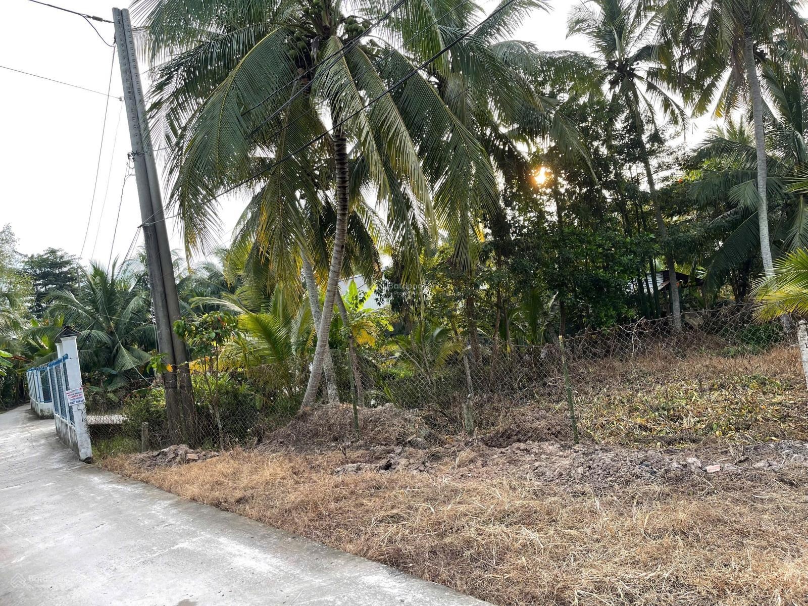 Bán đất biệt thự vườn 5623m2, 100m2 thổ cư, Ngã Bát, Hưng Phú, Cần Thơ