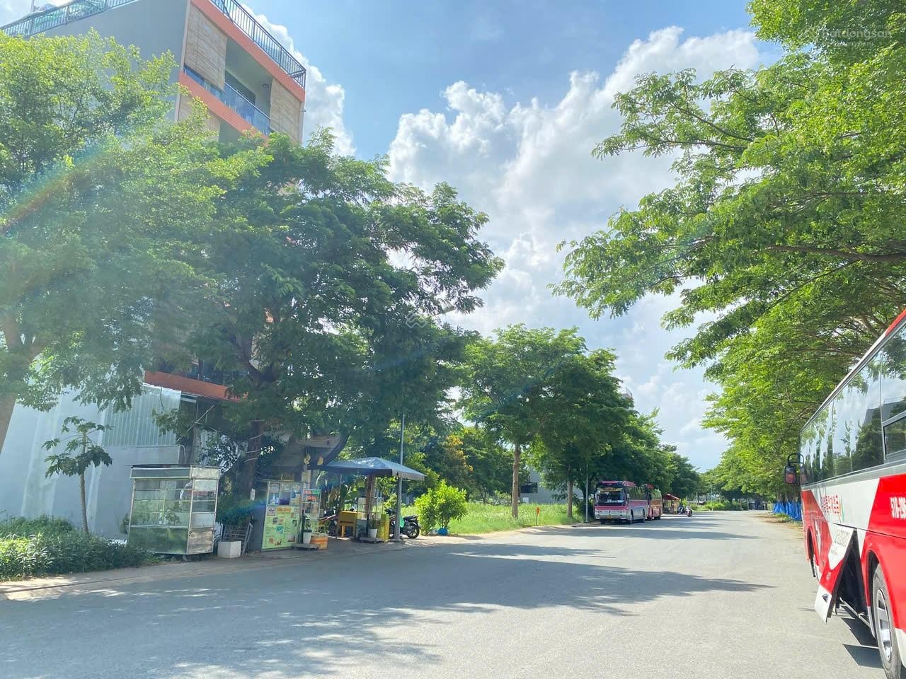 ảnh