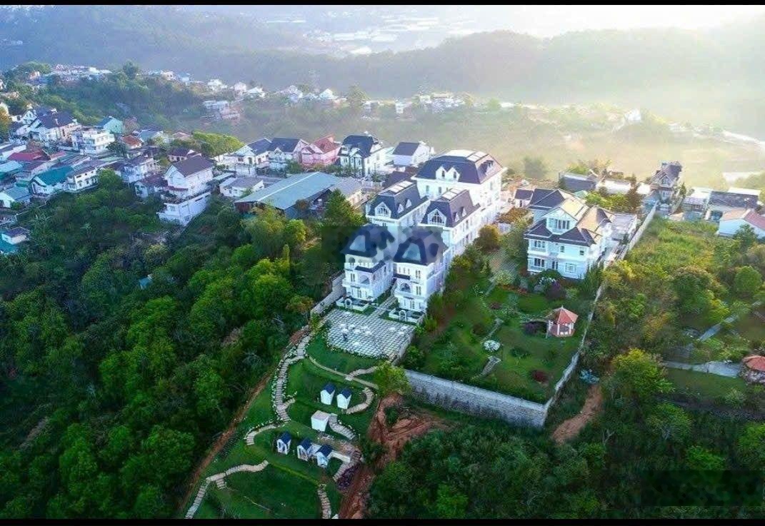 Lô đất có View rừng thông nghỉ dưỡng- 500m Hoàng Hoa Thám- Đà lạt - cách Hồ Xuân Hương chỉ 2km