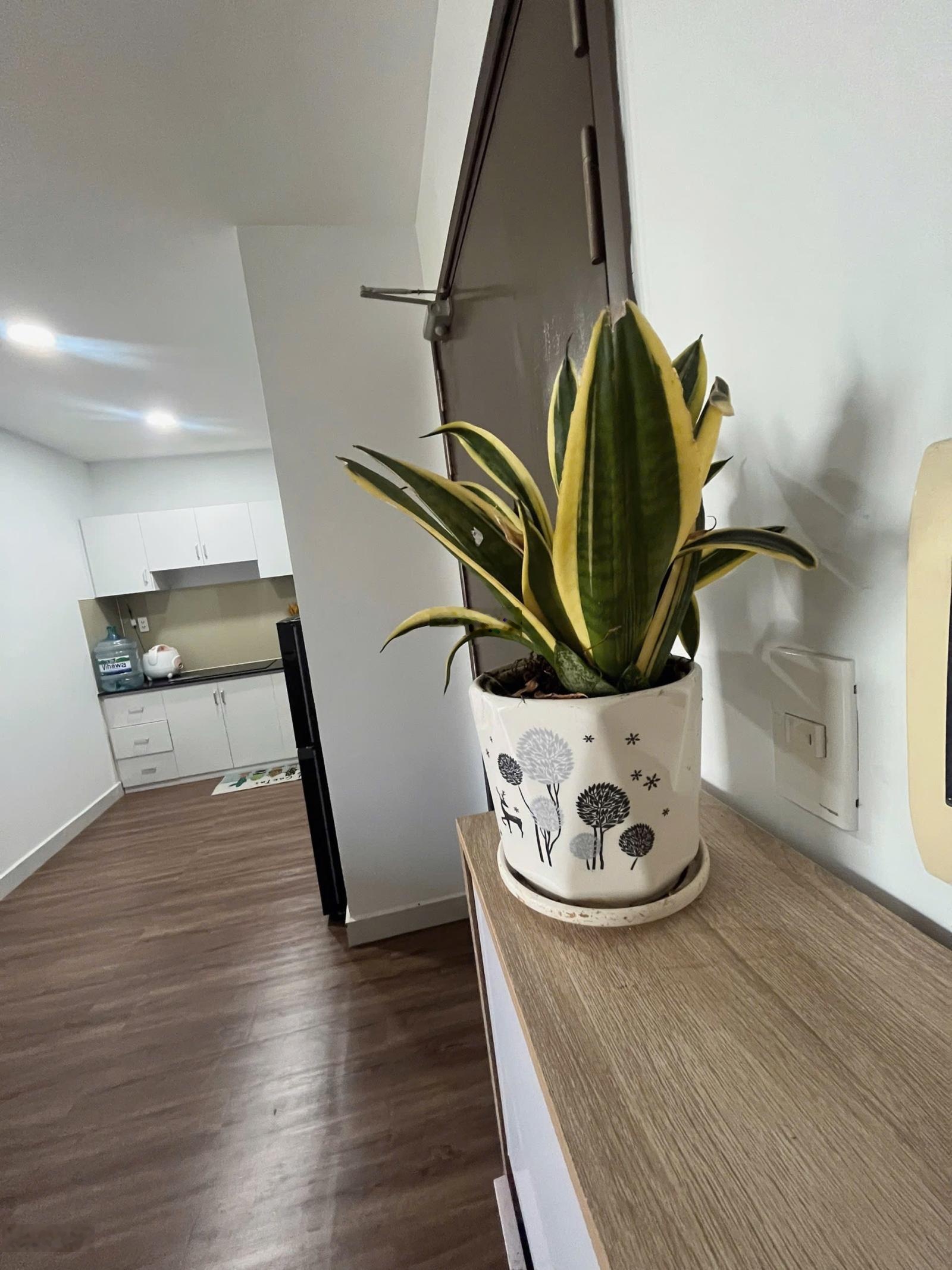 Căn hộ chung cư TDH reverview full nội thất, 2pn, 2wc có suất đậu oto