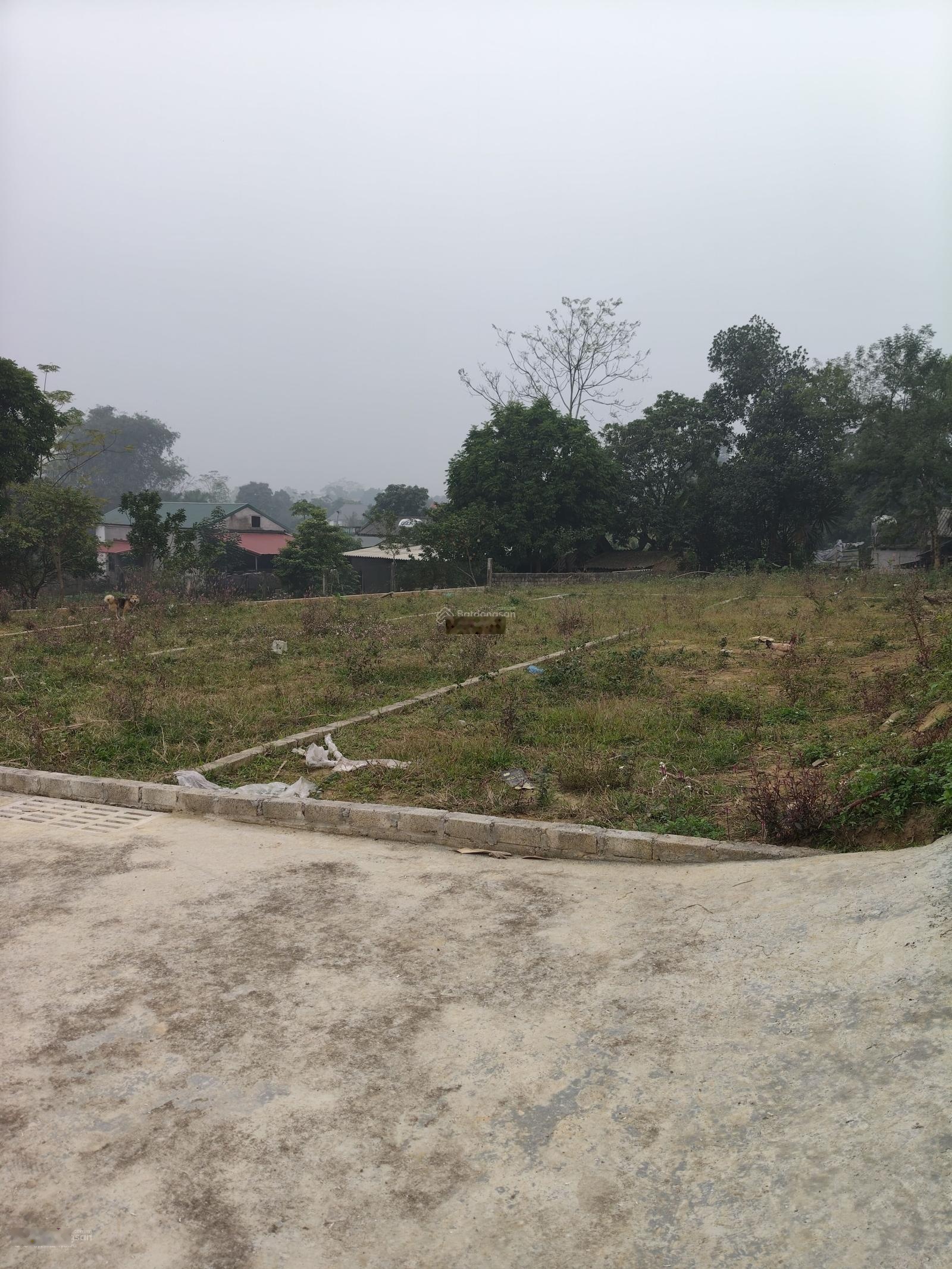 Bán đất chính chủ 115m ,tại xã Cự Đồng ,Phú Thọ