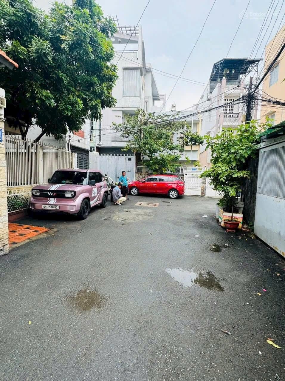 ảnh